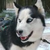 FELIX 2 ist freundlich und liebevoll