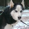 FELIX 2 ist freundlich und liebevoll
