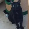 Billy der kleine Charmeur