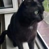 Billy der kleine Charmeur