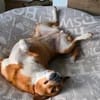 Lumie - sie wird zum Notfall
