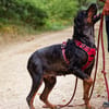 Roxie