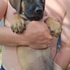 Banjo, notre trésor