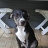 DARWIN le super beau gosse