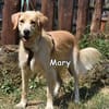 MARY