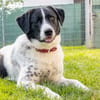 Mosel sucht Familie