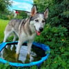 ARYA-WARTET AUF IHR HAPPY END