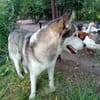 ARYA-WARTET AUF IHR HAPPY END