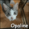 Opaline