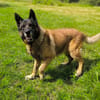 REX