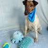 Roxi -Charmante Hundedame sucht ein liebevolles Zuhause!