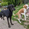 Happy wartet in 97513 Michelau