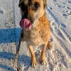 🆘RUBY in 91616 Neusitz sucht♥  🆘🆘🆘