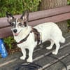 LISBETH SUCHT EINEN MENSCHEN DER SIE VERSTEHT