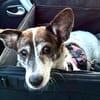 LISBETH SUCHT EINEN MENSCHEN DER SIE VERSTEHT