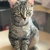 Dina u. Daisy suchen ein liebevolles Zuhause