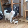 Kate Snowy sucht Sofaplatz