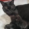 Gina sucht liebevolle Dosenöffner