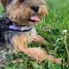 Super liebe kleine Lady