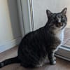 Sid sucht eine liebevolles Zuhause