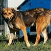 COSMO ist auf PS in 65597 Hünfelden