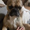 Pablo sucht ein Heim um zu bleiben