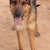 BALTO (Maria)