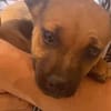 DORA (Maria)