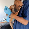 DORA (Maria)