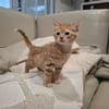 NALA
