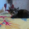 SALLY