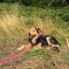 Buzz sucht ein geduldiges Zuhause