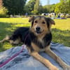 Buzz sucht ein geduldiges Zuhause