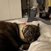Kassandra auf der Suche nach ihrem Herzensmenschen