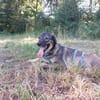 Kassandra auf der Suche nach ihrem Herzensmenschen
