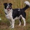 Ice möchte seine Menschen finden