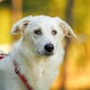 Aura wünscht sich Zuwendung