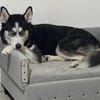 YUKI