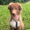 Selbstbewusster Romeo mit Potential wartet in 57627 Marzhaus