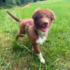 Selbstbewusster Romeo mit Potential wartet in 57627 Marzhaus