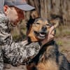 Jerry: Sanft, dezent, lernwillig Hund!