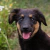RONJA  Kleine Abenteurerin sucht ihre Herzensmenschen