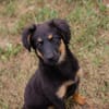 RONJA  Kleine Abenteurerin sucht ihre Herzensmenschen