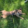 Lusy-Kleine Entdeckerin, 8 Monate alt,