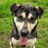 Fizz - sensibles Mädchen sucht dich