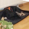 Layla sucht ihr neues Glück
