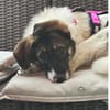 freundliche & verschmuste ELOISE