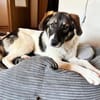 freundliche & verschmuste ELOISE