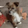 Matilda: kleiner Sonnenschein sucht DICH