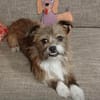 Matilda: kleiner Sonnenschein sucht DICH